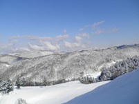 006_000.jpg