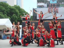 20110826b.jpg