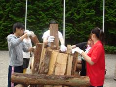 clip_image002_087.jpg