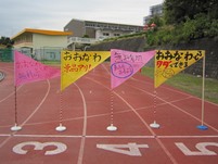 hp2_001.jpg