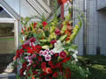 DSC00025.JPG