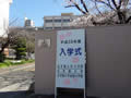 DSC00040.JPG