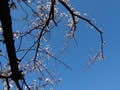 DSC00041_000.JPG