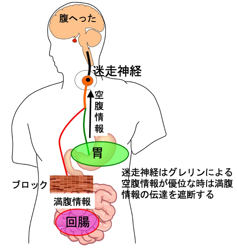 toshinai.jpg