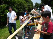 NUT_20110823_1a
