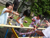 NUT_20110823_1c