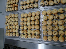 NUT_20110823_2a