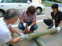 NUT_20111016_1a