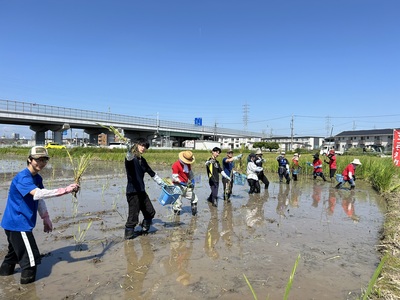 riceplanting.jpg