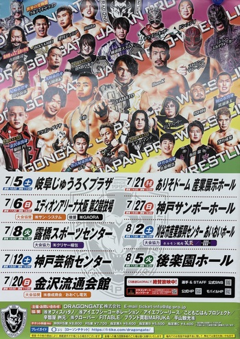 0715prowrestling2.jpg
